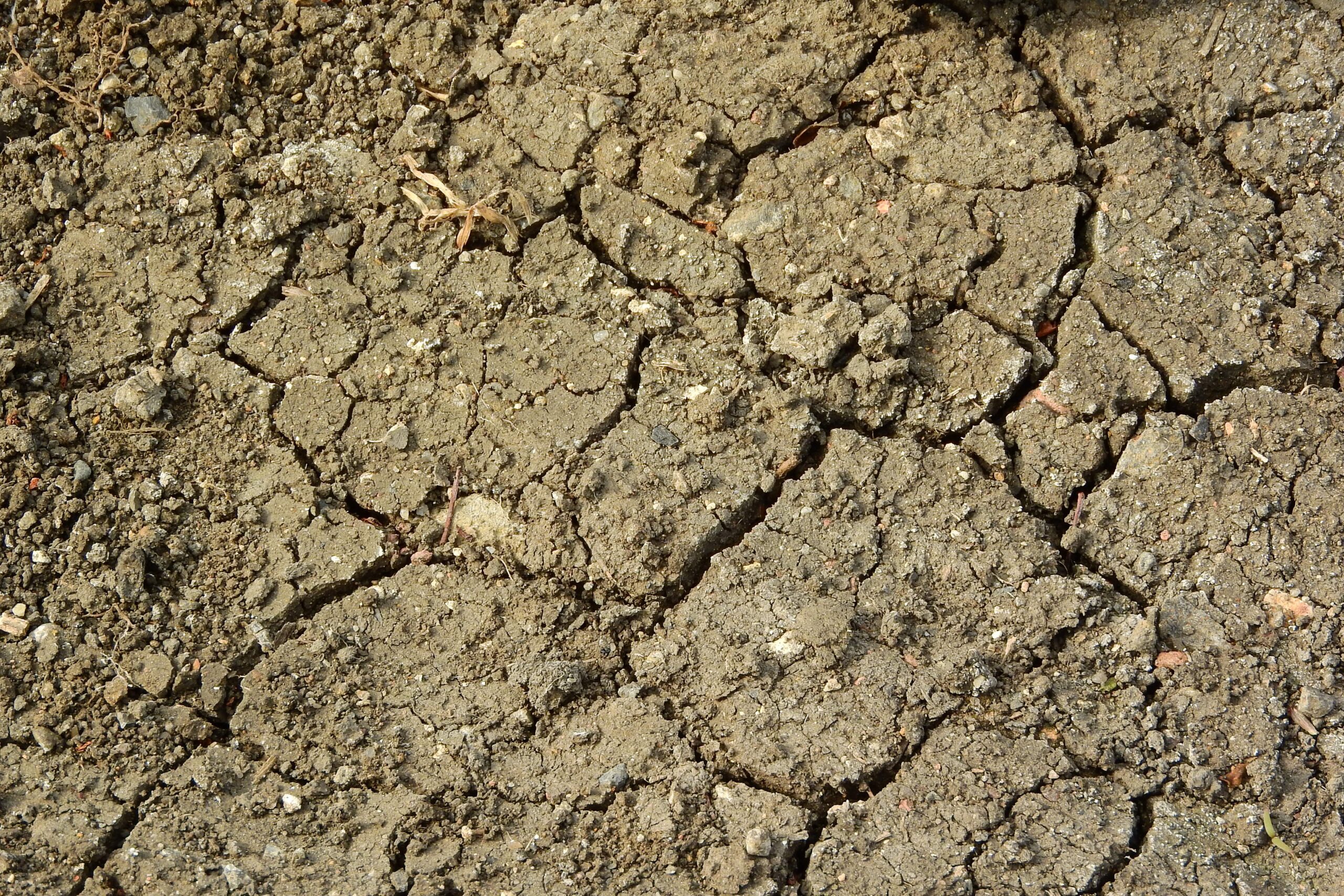 Letos to vyšlo. Příště může být potřeba víc než štěstí